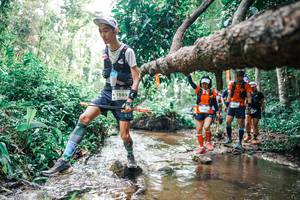 BIB: 
                            <button type="button" onclick="openModal(25375347)" class="btn btn-primary btn-sm float-right btn-popup" data-toggle="modal" data-target=".modal-high-quality">
                        <i class="fas fa-shopping-cart"></i> Add to Cart
                    </button>
                                            <button type="button" onclick="isThisMe(25375347, true)" class="btn btn-success btn-sm float-right btn-popup btn-isme hidden" data-toggle="tooltip" data-placement="bottom" title="นี่คือรูปของคุณใช่ไหม คลิกที่นี่เพื่อเอาเข้าอัลบั้ม">
                        <i class="fas fa-plus"></i> Add to album
                    </button>
                    <button type="button" onclick="isThisMe(25375347, false)" class="btn btn-warning btn-sm float-right btn-popup btn-isnotme hidden">
                        <i class="fas fa-ban"></i> Remove from album
                    </button>